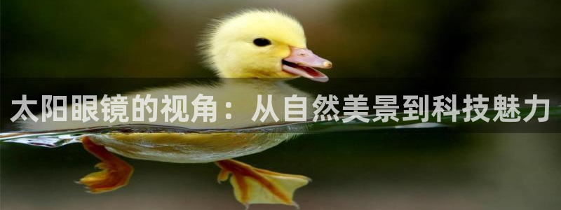 辉达娱乐加q75775稳定