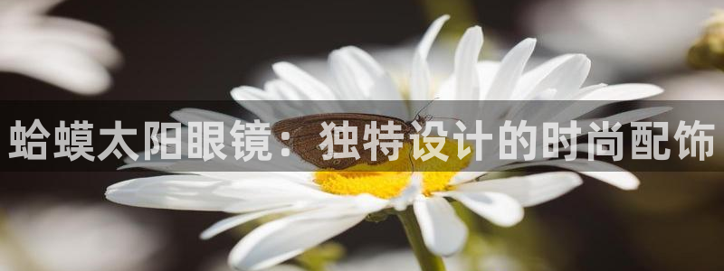 信誉辉达娱乐