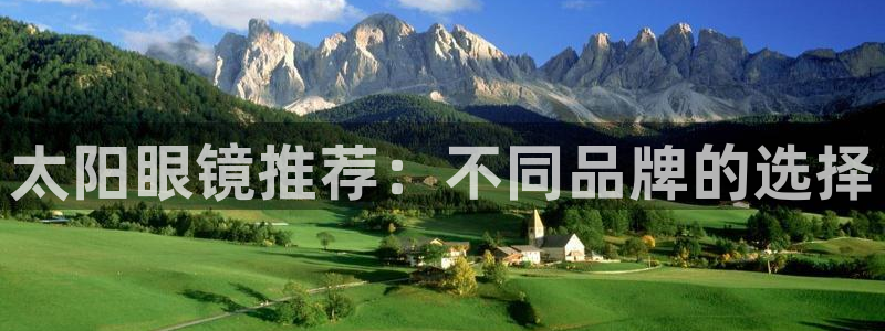 辉达集团官方网站