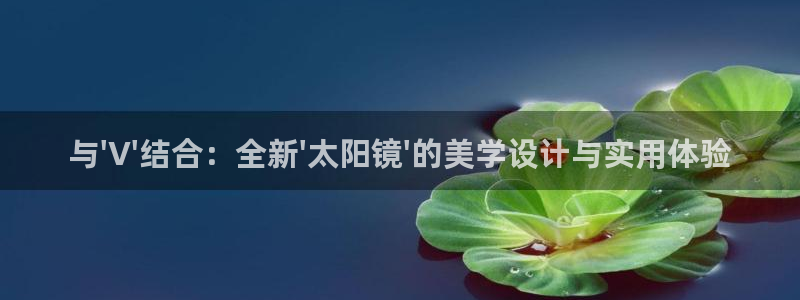辉达娱乐