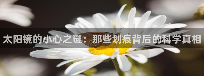 辉达娱乐衤39444
