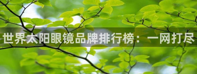 辉达娱乐体育竞猜