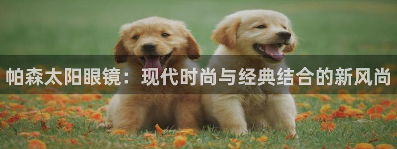 龙腾辉达电子娱乐