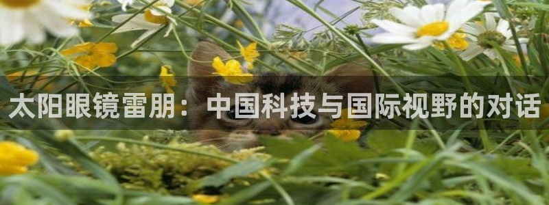 辉达娱乐正规吗