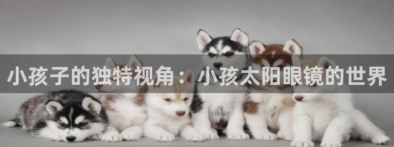 辉达娱乐总部