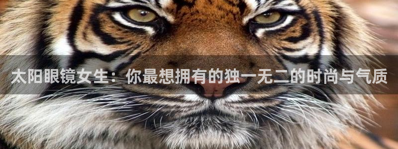 辉达娱乐最新消息新闻