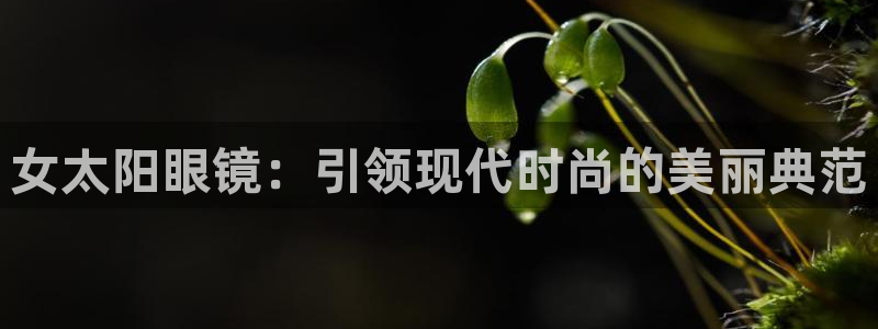辉达娱乐可靠