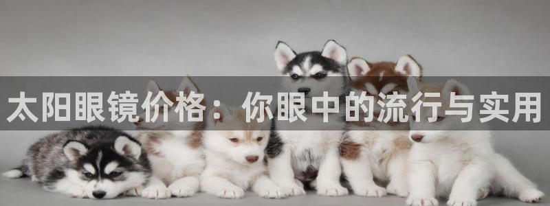 辉达娱乐ag游戏平台