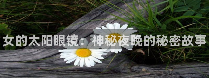 辉达娱乐加扣75775