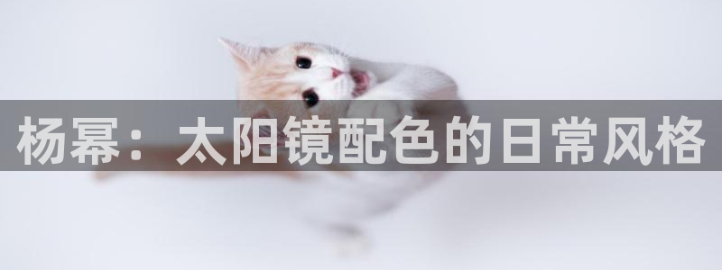 正规辉达娱乐官方网址