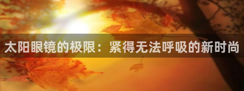 辉达娱乐五39444
