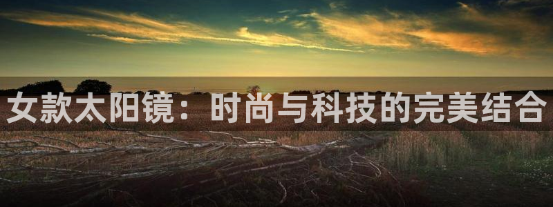 辉达娱乐待遇