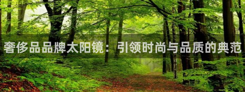 辉达平台娱乐怎么样