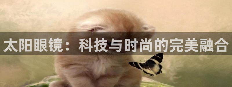 辉达娱乐平台