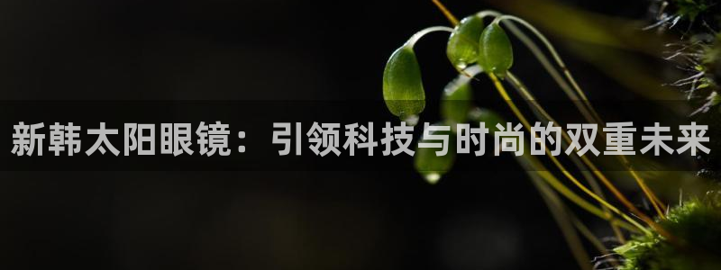 辉达娱乐正规吗