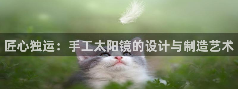 辉达娱乐计划软件