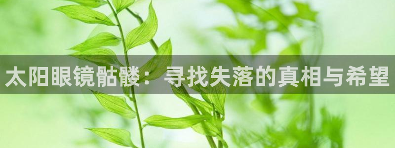 辉达娱乐己39444