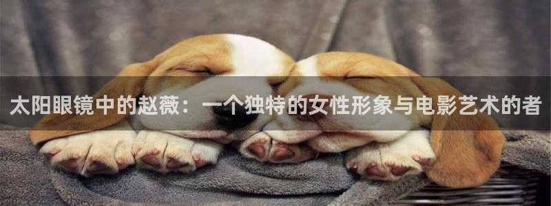 辉达娱乐丶39444