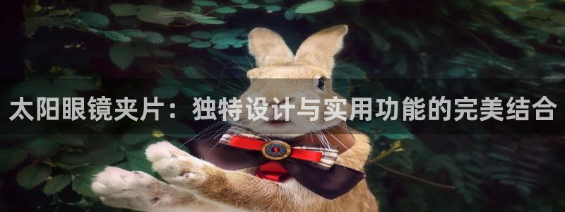 辉达娱乐分红
