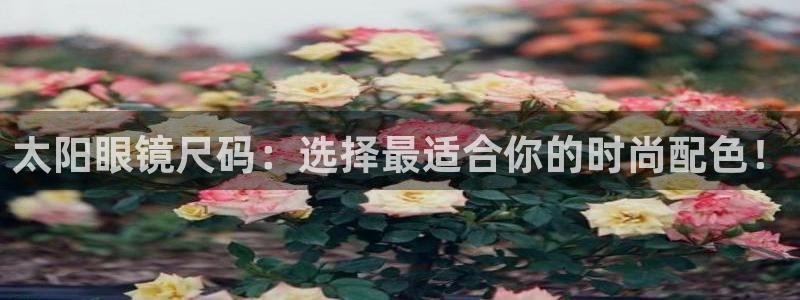 辉达娱乐珈75775