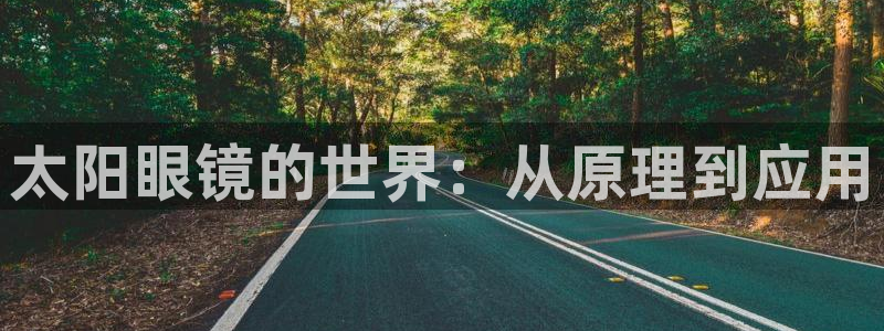 达利娱乐王辉