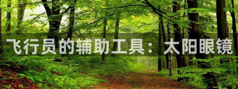 辉达娱乐加q75775