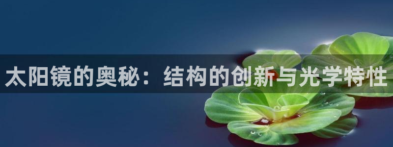 辉达娱乐加扣75775