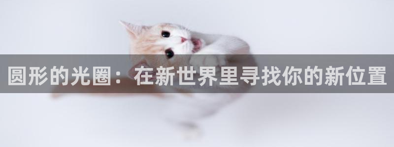 辉达娱乐分红
