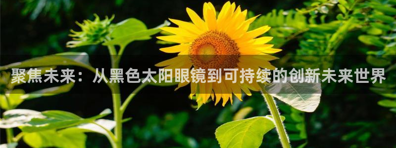 辉达娱乐可靠