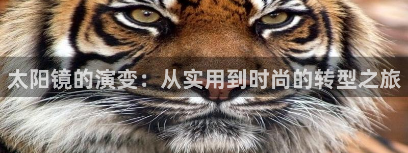 菲律宾辉达娱乐