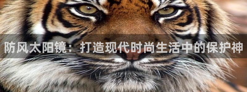 辉达平台官网电话