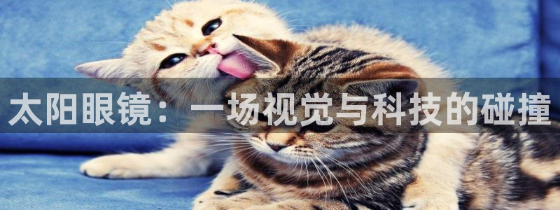 辉达平台官网网站