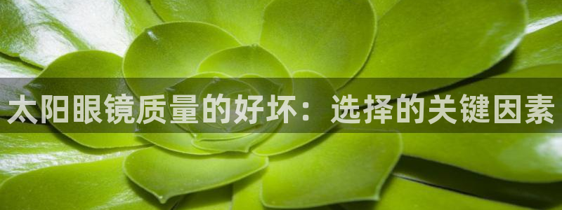 辉达娱乐可靠