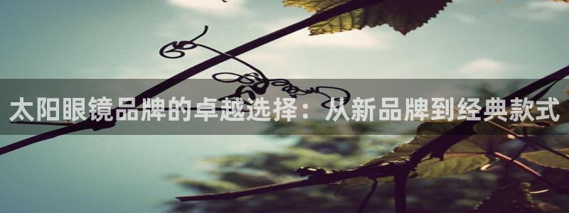 专业辉达娱乐在线游戏