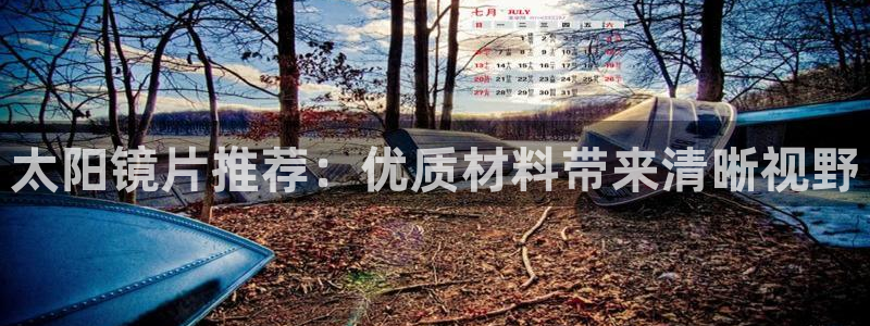 辉达娱乐分红