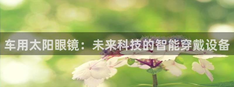 正规辉达娱乐在线游戏