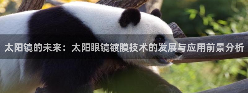 辉达娱乐123123