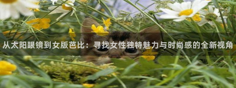 信誉辉达娱乐官方网址