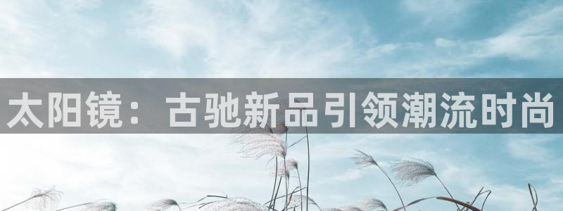 代理辉达娱乐平台