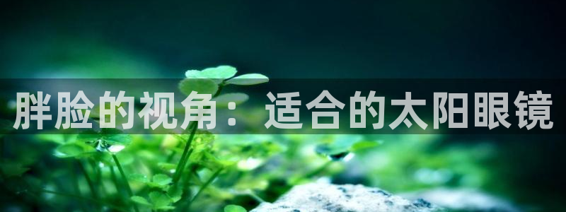 辉达娱乐五75505