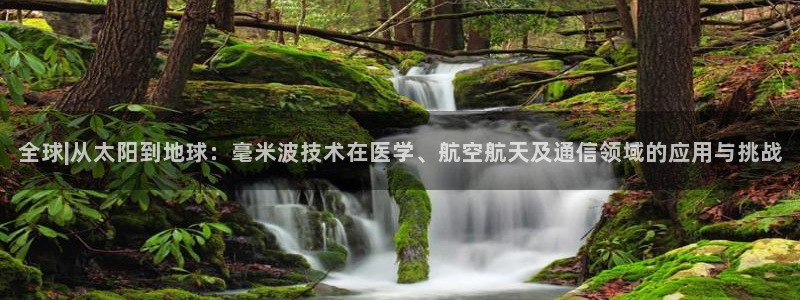 辉达娱乐己39444