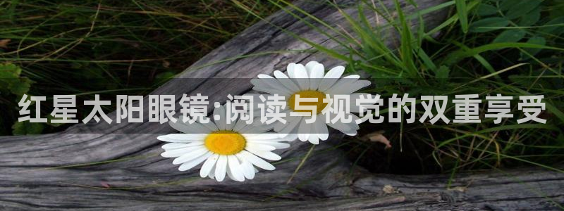 辉达平台娱乐怎么样