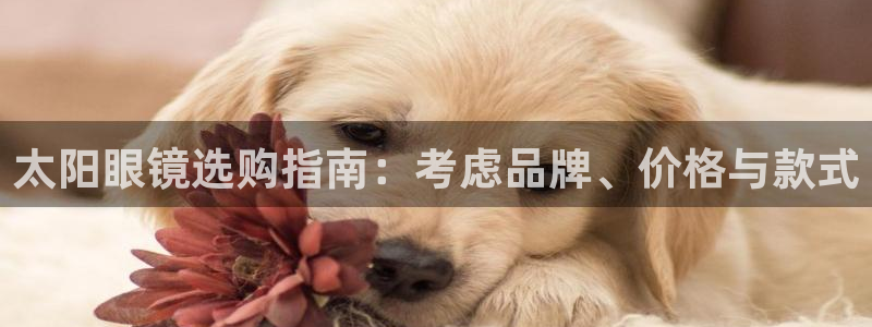 辉达娱乐衤39444
