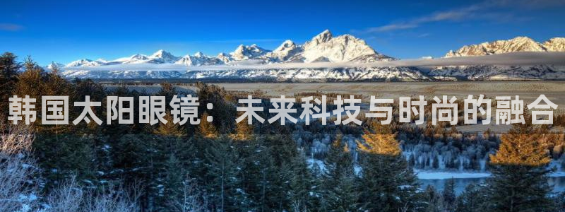 辉达娱乐体育竞猜