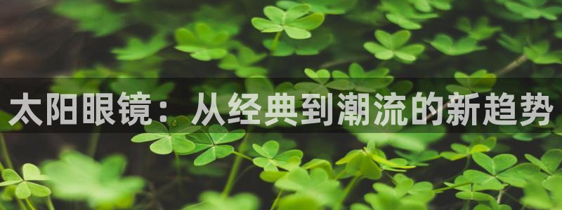 辉达怎么样