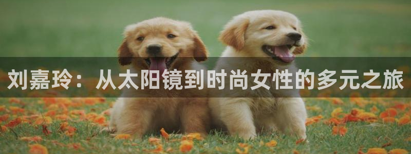 辉达平台官网网站