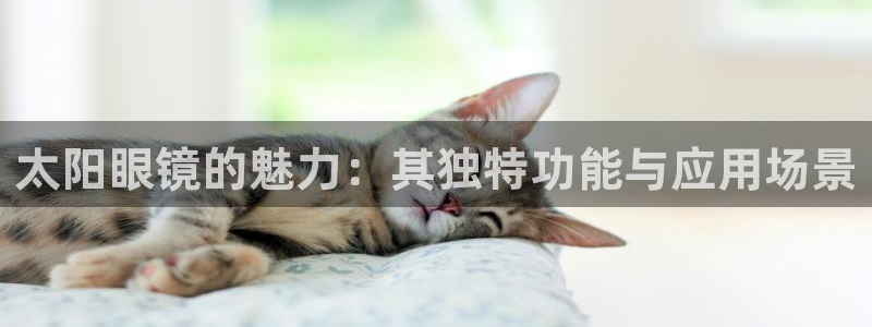 辉达娱乐app