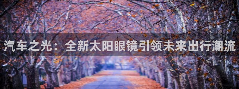 代理辉达娱乐