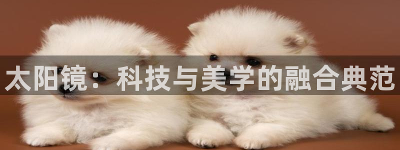 辉达娱乐重庆时时彩