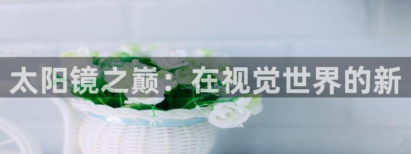 专业辉达娱乐官方网址